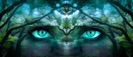 Entdecke Deine volle Sehkraft