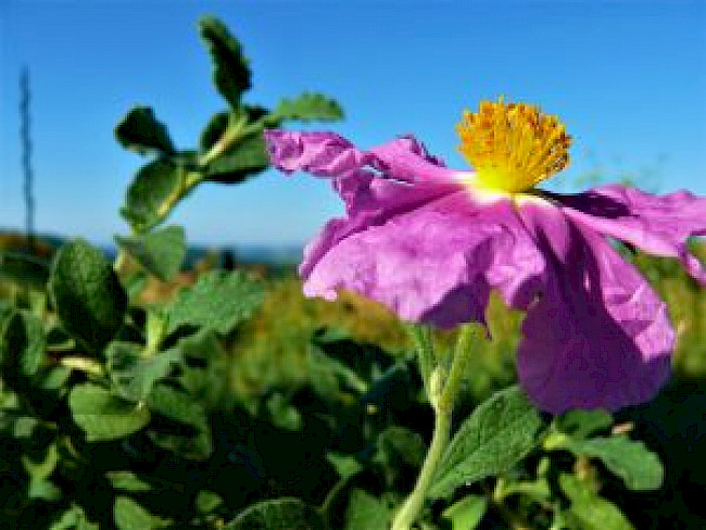 Meeting 18.5.22 Haut Gruppe 2