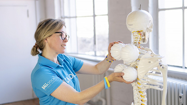 Die Brustwirbelsäule