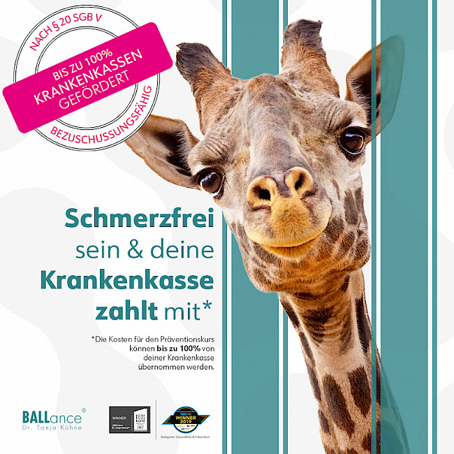 Marketing für den BALLance Präventionskurs