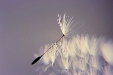 Modul 9 - So geht's weiter