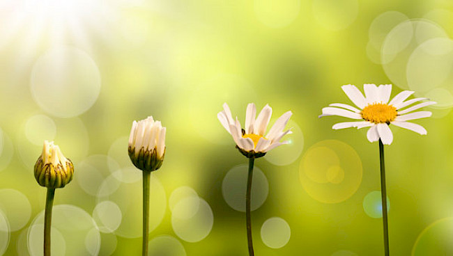 Einführung in Modul 4