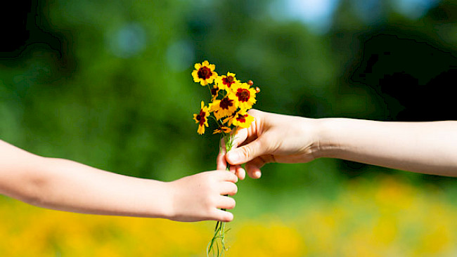 Change-Talk zusammenfassen