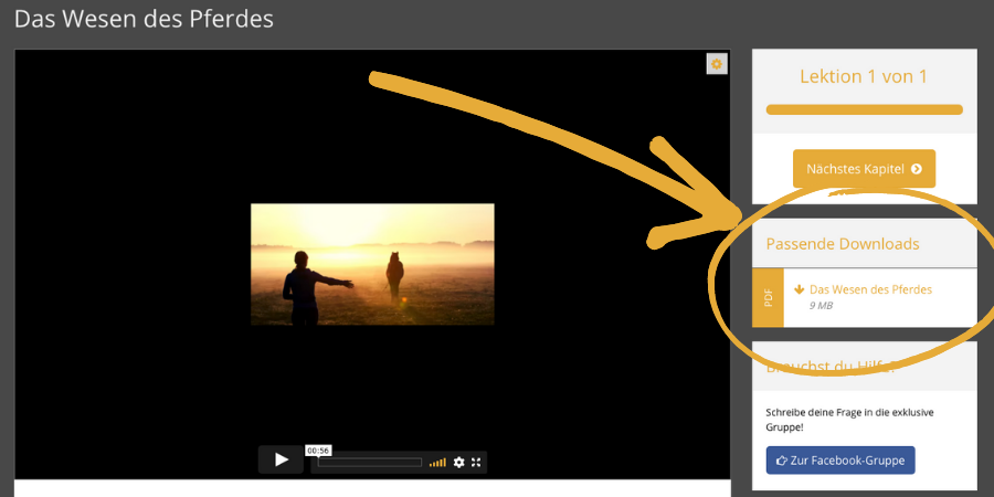 design_ohne_titel_5.1654075086.png