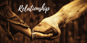 RELATIONSHIP