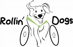 Lektion 4 - Rolli, Sitzflächen und Zuggeschirre