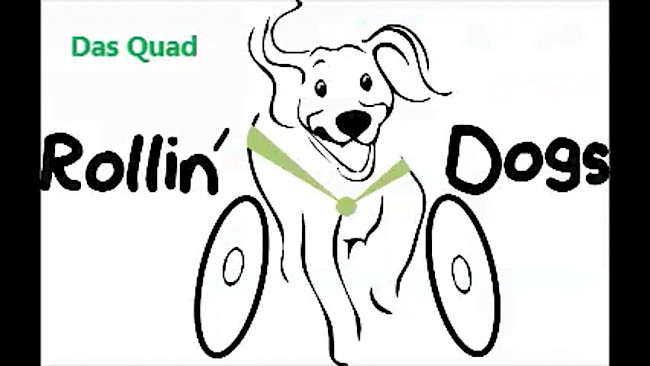 Funktion und Aufbau eines Quad