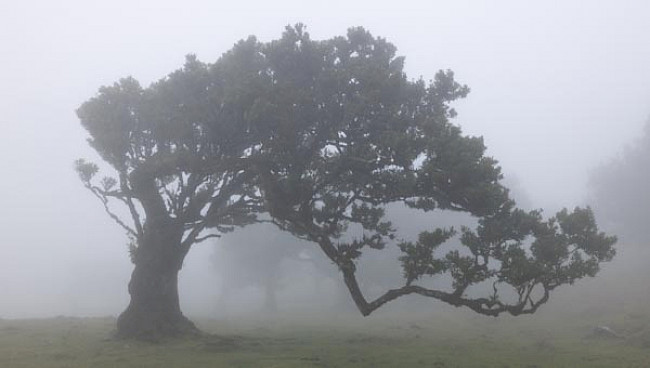 Bedeckter Himmel und Regen