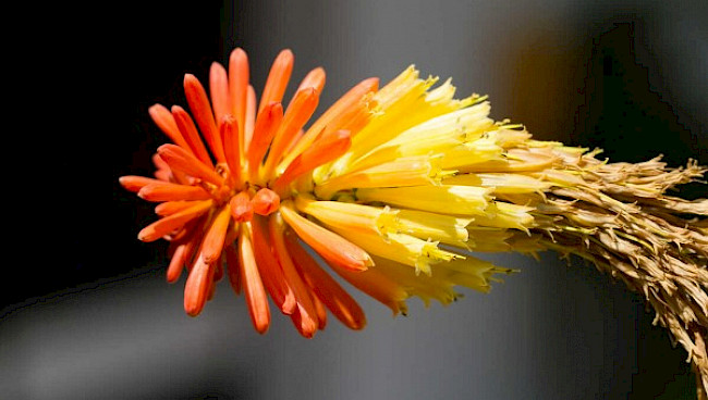 Gestaltung mit Farbe