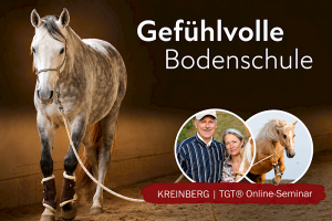 Gefühlvolle Bodenschule mit System | Kreinberg TGT®