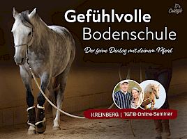 Gefühlvolle Bodenschule mit System | Kreinberg TGT®