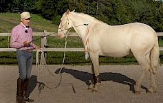 Arbeit mit Gerte, Flag & Peitsche