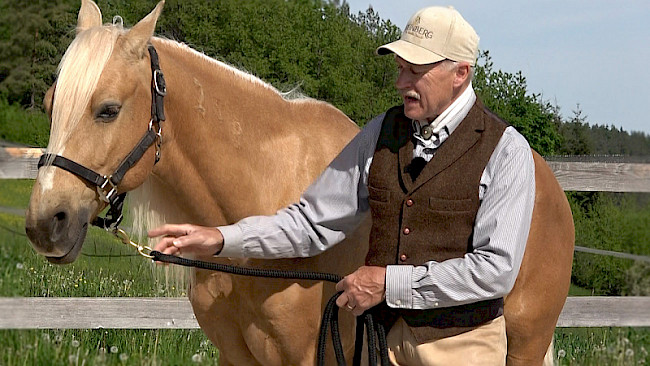 Sicherheit beim Führen