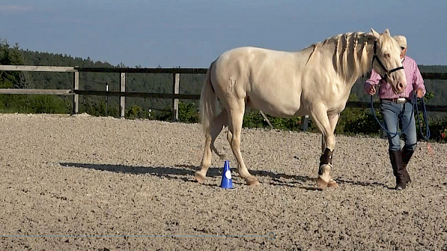 Wendungen an 2 Pylonen