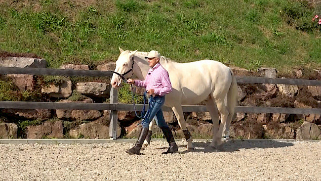 Kombi-Übung: Beschleunigen & Verlangsamen