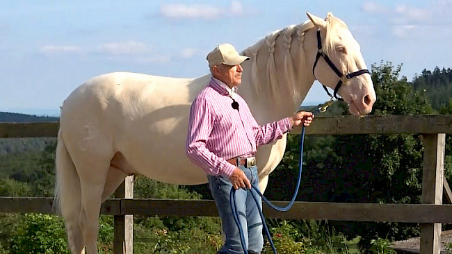 Schritt, Anhalten, Antreten