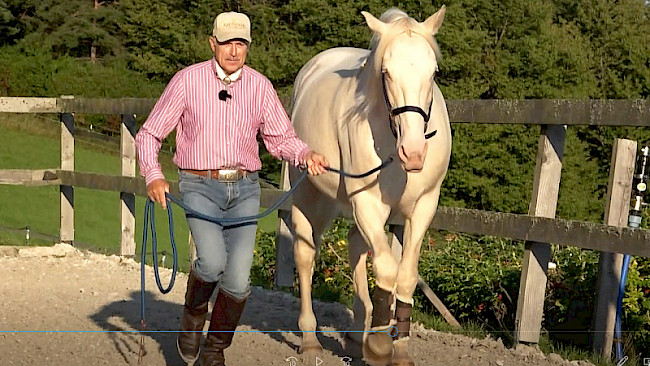 Schritt, Trab, Schritt