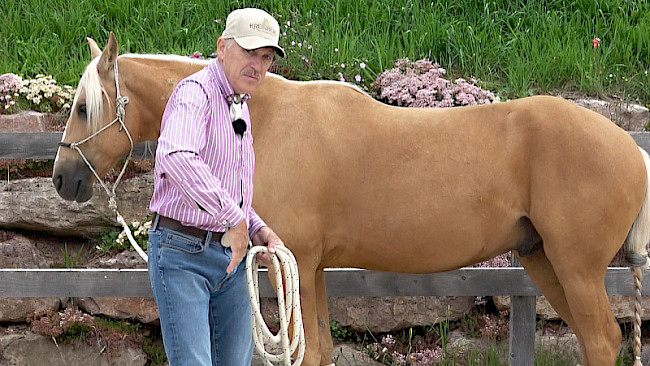 Die Wirkung des Leitseils