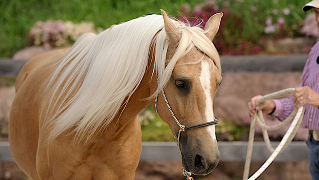 Erstes Senden auf den Kreisbogen
