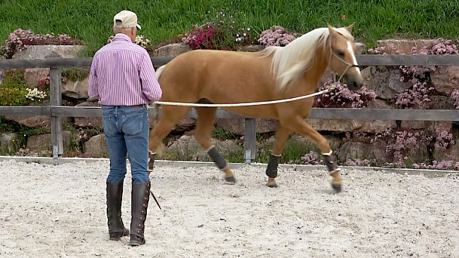 Raussenden und Reinholen