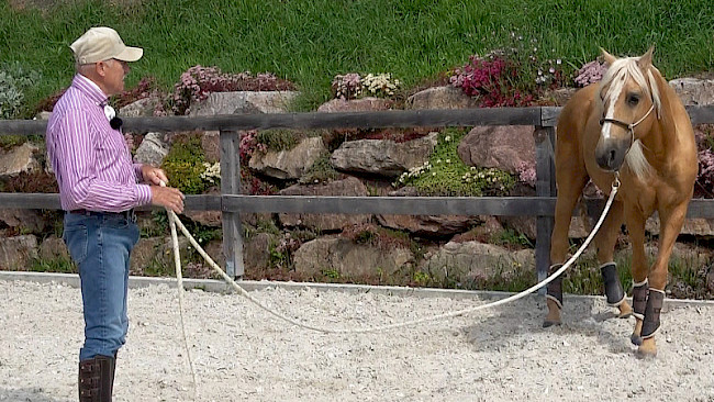 Einfache Wendungen mit Pferd