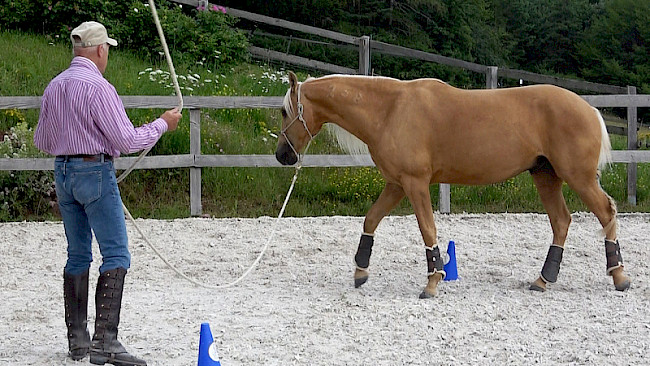 Wendungen in der Acht