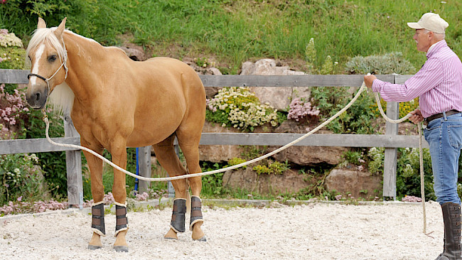 Anhalten auf Distanz