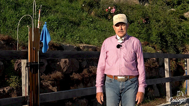 Kurzpeitsche | Theorie