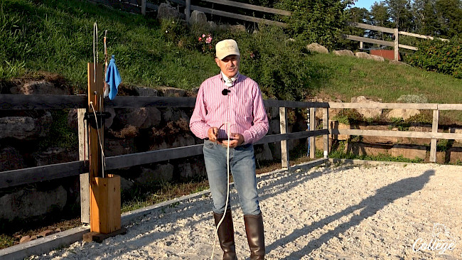 Bogenpeitsche | Theorie