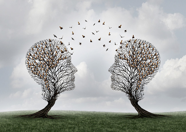 Wirkung von Waldbaden