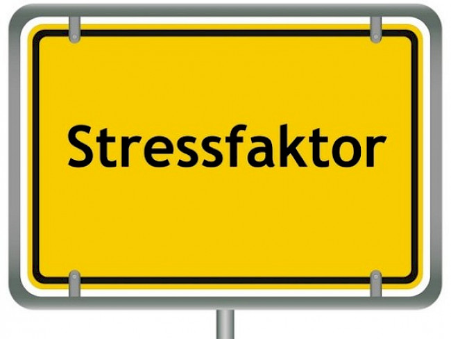 Stressoren