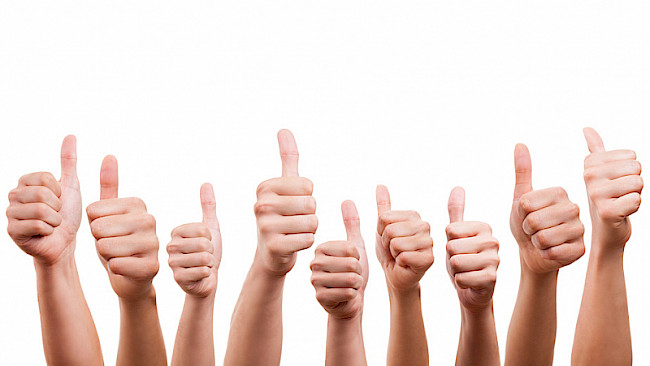 Vorteile von Waldbaden