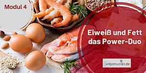 4-Eiweiß und Fett - das Power-Duo
