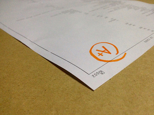 Prüfungsfragen zur Basic Schulung der BALLance Dr. Tanja Kühne® Methode