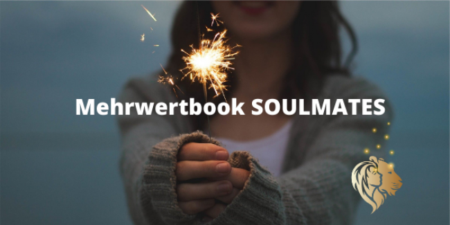 Mehrwertbook Soulmates