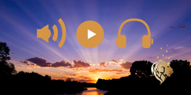 Herzmeditation - Dein Herz öffnet sich, damit du empfangen kannst