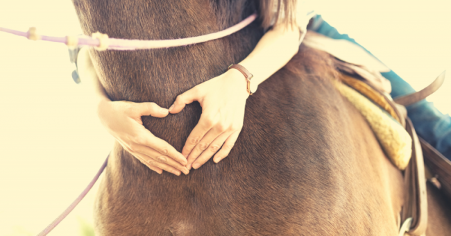Bedingungslose Liebe