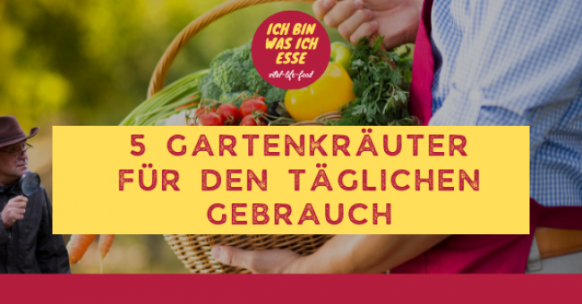 5 Gartenkräuter für den täglichen Gebrauch