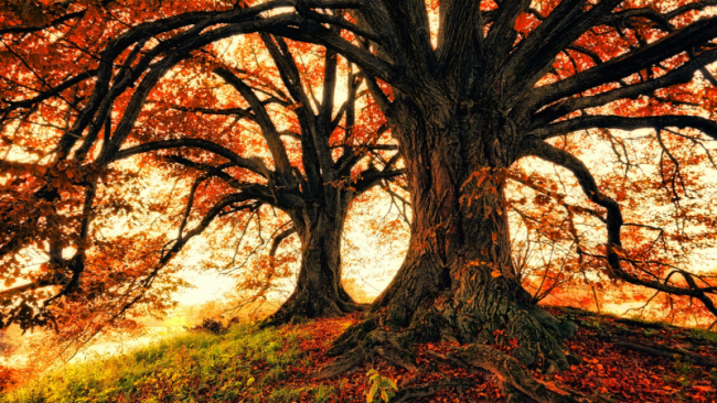 Willkommen zur vierten Kursstunde