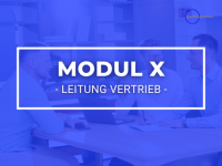 Modul X - Leitung Vertrieb