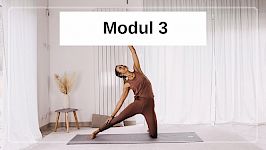 Modul 3