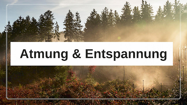 Einführung: Atmung & Entspannung