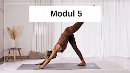 Modul 5