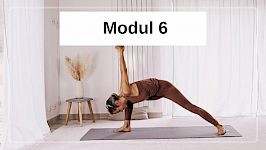 Modul 6