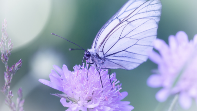 Die Wärmeübung im Sitzen