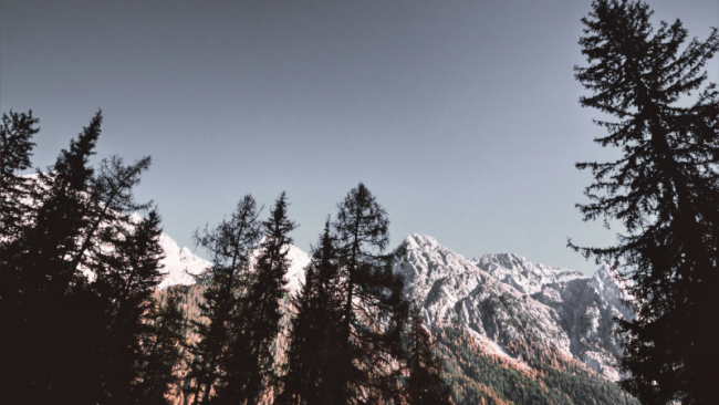 Praxis: Die Atemübung im Liegen