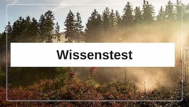 Wissenstest