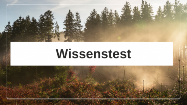 Wissenstest