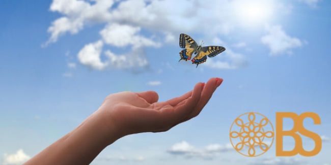 Mehrwertbook - Businessplan