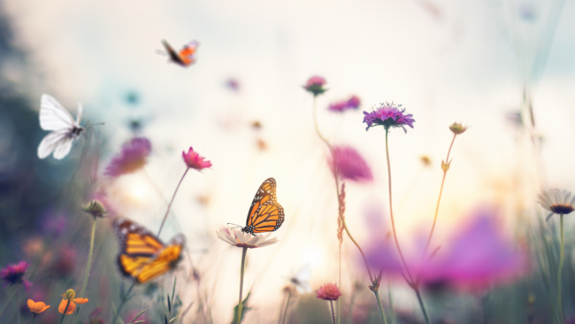 Tipps gegen Druck und Stress